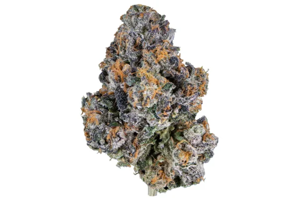 Gelato #41 Esqueje