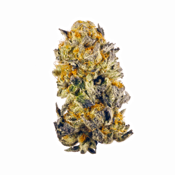 Gelato #49 CLONE - Imagen 4