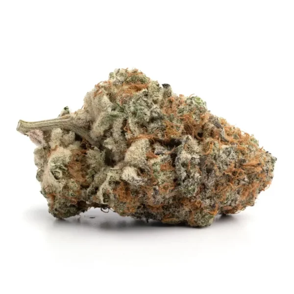 Strawberry cough esqueje