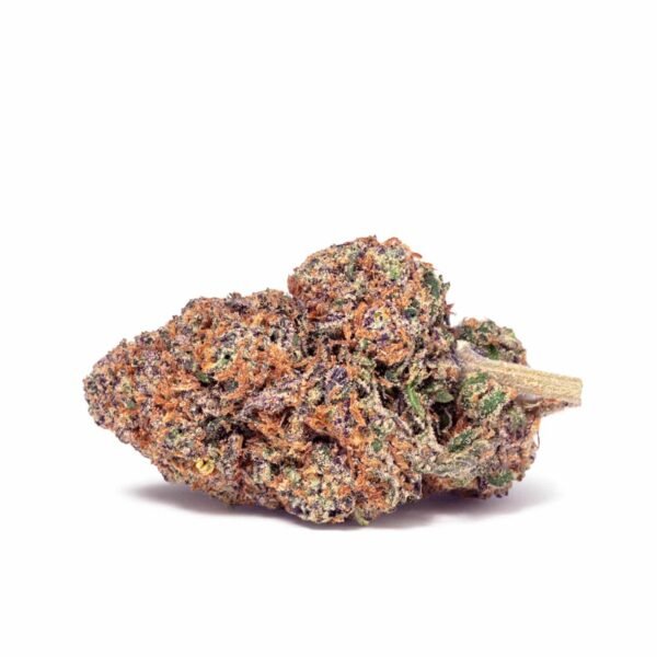 tangie purple esqueje